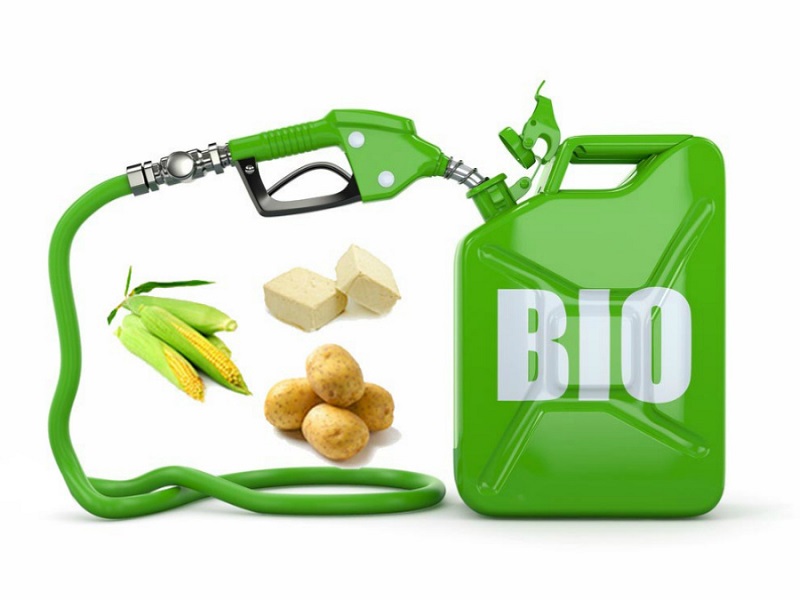 Международный день биодизеля и экологически чистого топлива.