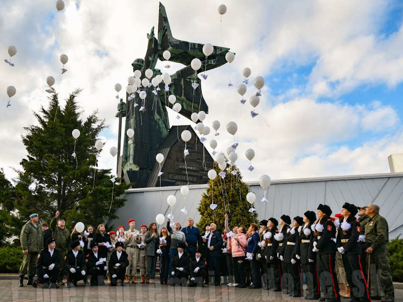 В День белых журавлей мы вспоминаем тех, кто ценой своей жизни подарил нам мирное небо.