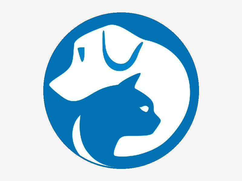 Сотрудники предприятия «Животные в городе» неустанно трудятся, чтобы подарить четвероногим друзьям шанс на счастливую жизнь.